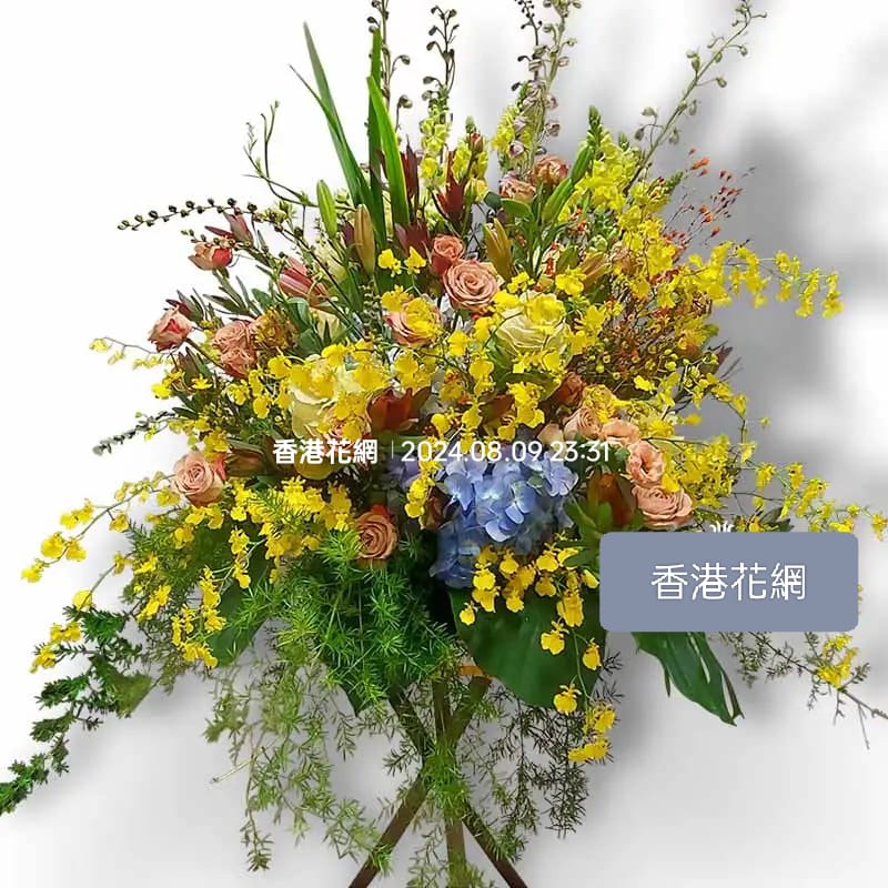開張花藍 - TMMP001
