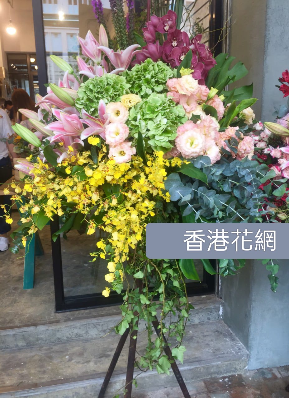 開張花藍 - TMMP120
