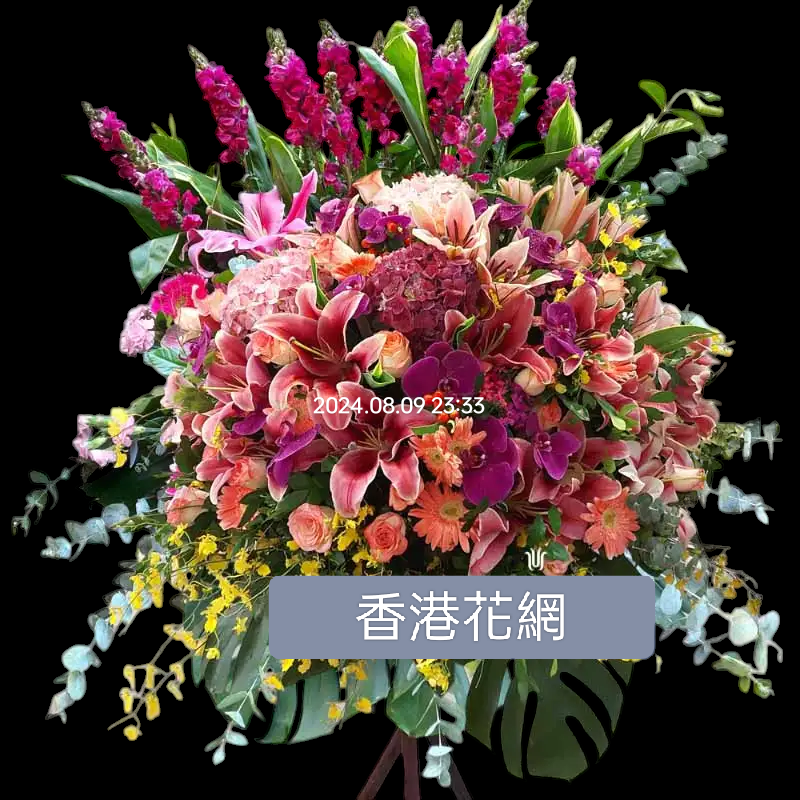 開張花藍 - TMMP111