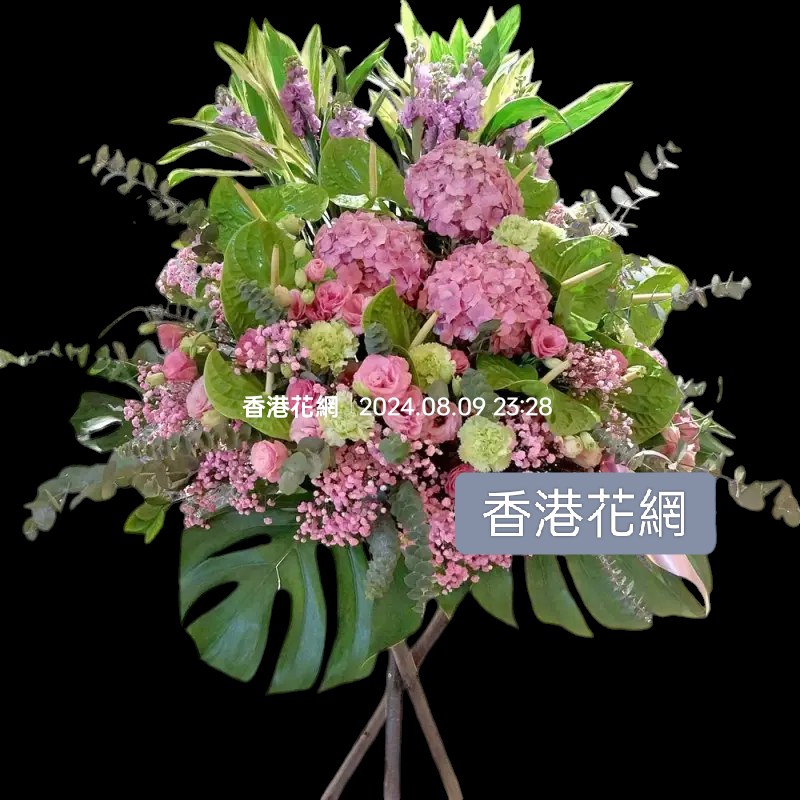 開張花藍 - TMMP118
