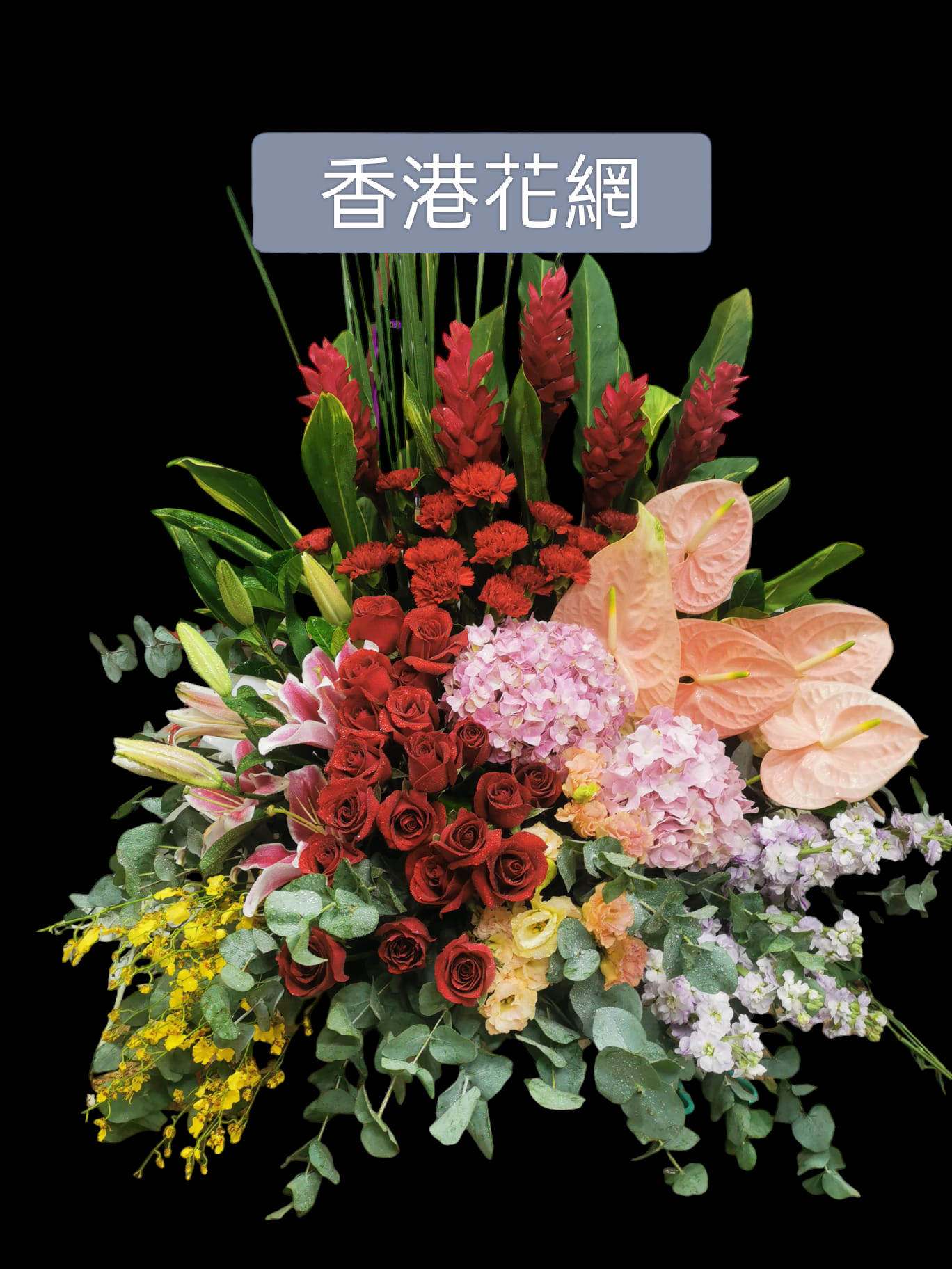 開張花藍 - TMMP121