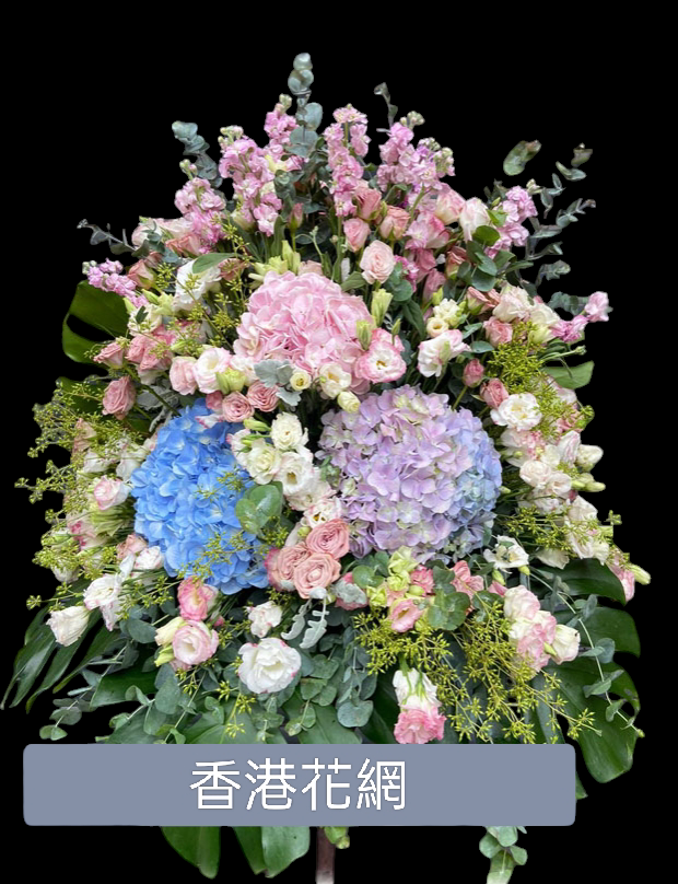 開張花藍 - TMMP127
