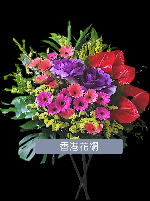 開張花藍 - TMMP128