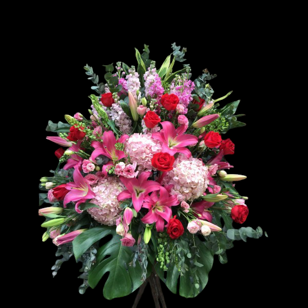 開張花藍 - TMMP143