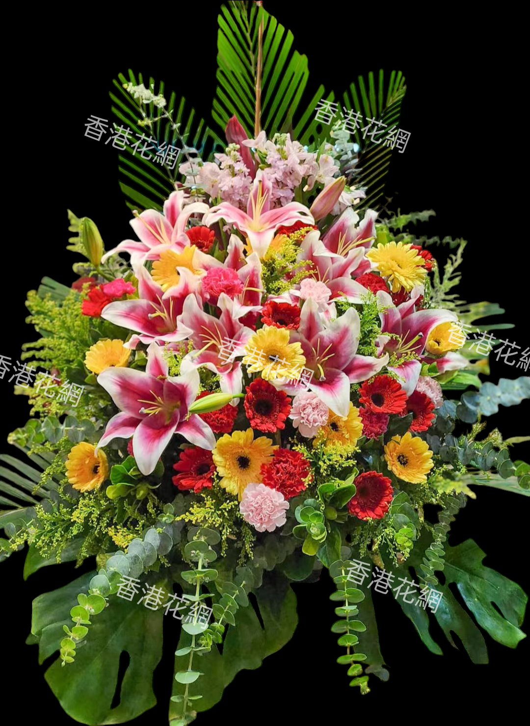 開張花藍 - TMMP223