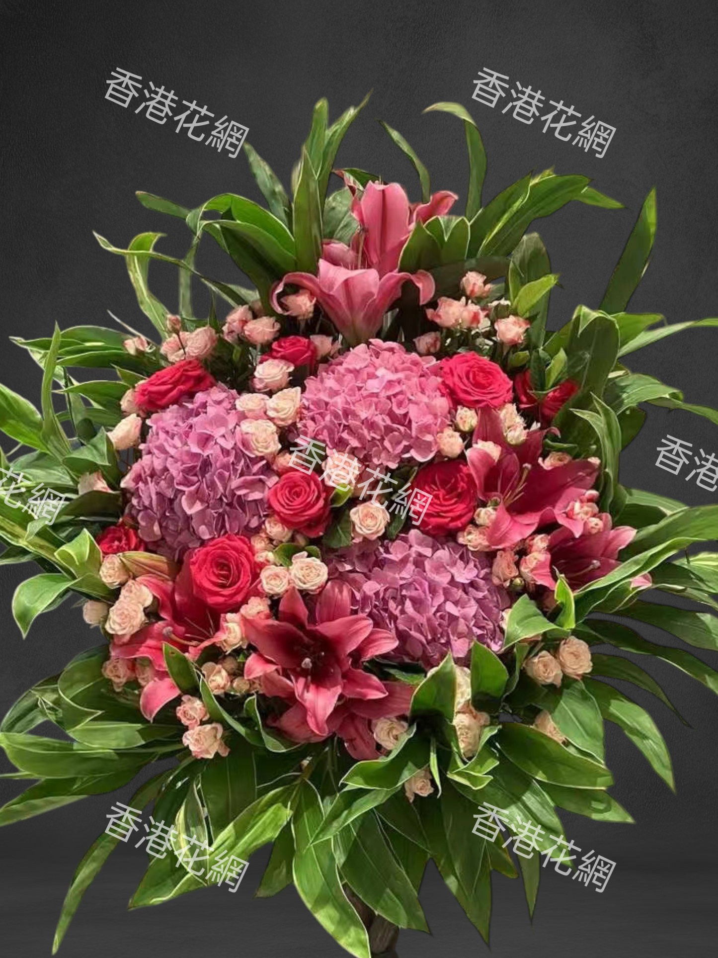 開張花藍 - TMMP228
