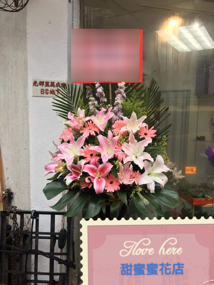 開張花藍 - TMMP178