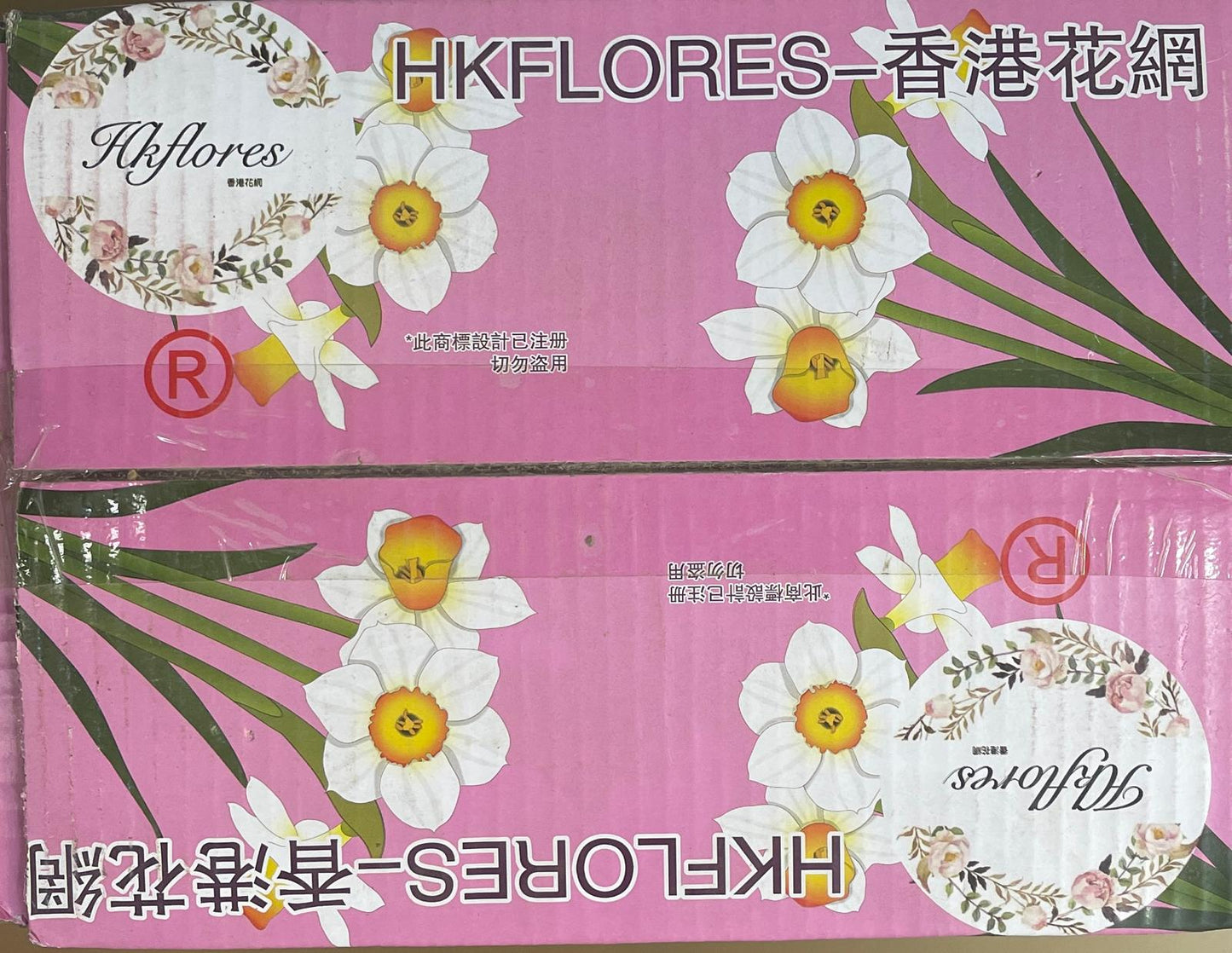 水仙系列每一盒 TMMD001