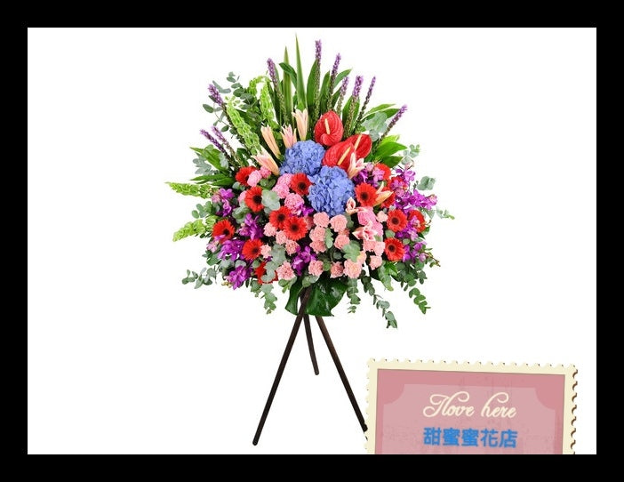 開張花藍 - TMMP167