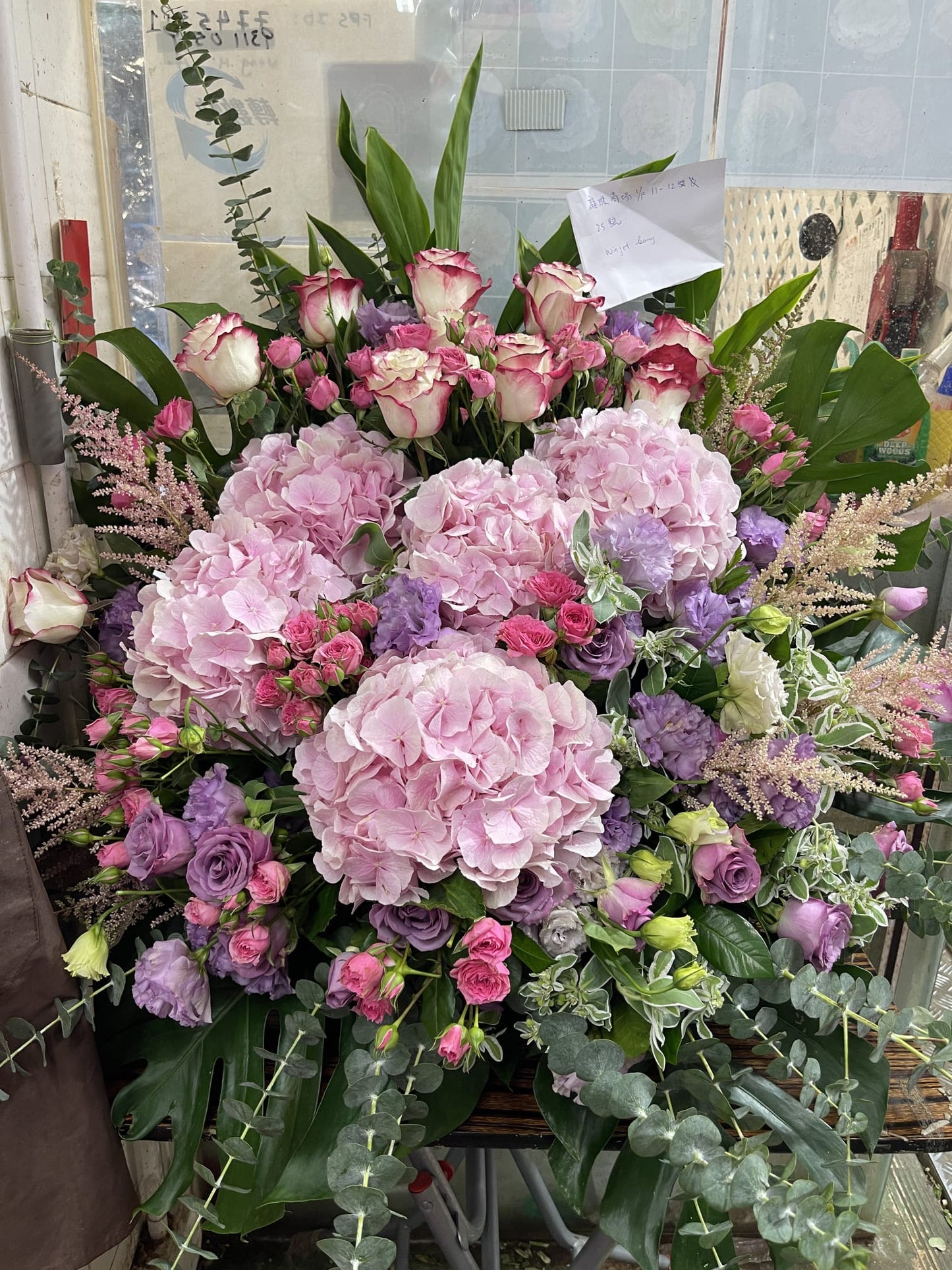 開張花藍 - TMMP174