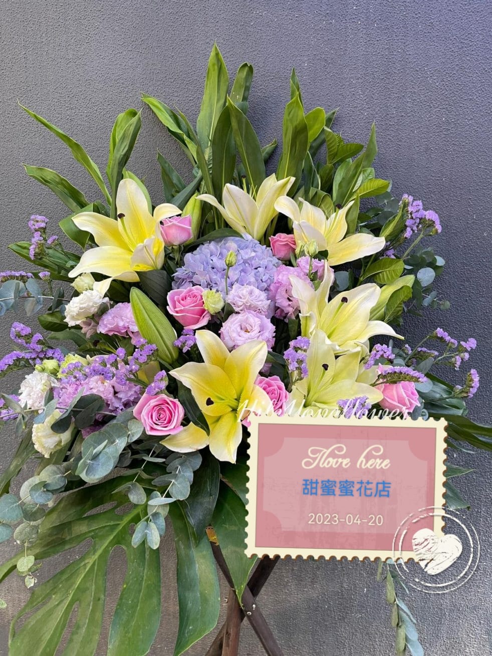 開張花藍 - TMMP002