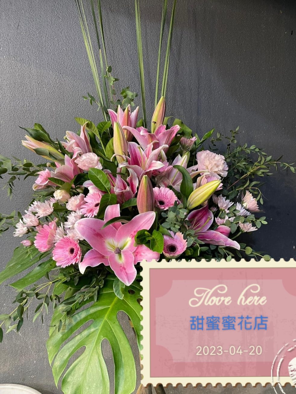 開張花藍 - TMMP003
