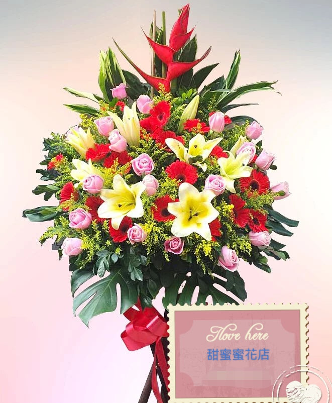 開張花藍 - TMMP159