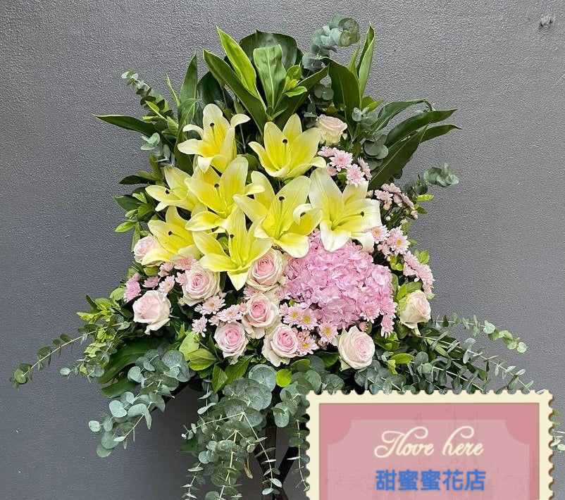 開張花藍 - TMMP162