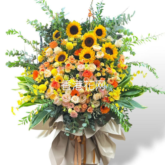 開張花藍 - TMMP200