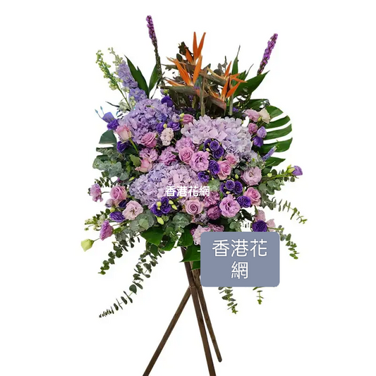 開張花藍 - TMMP198