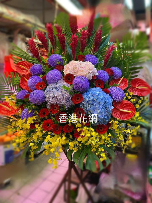 開張花藍 - TMMP207