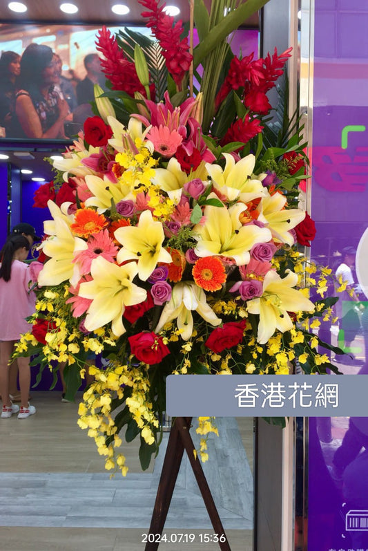 開張花藍 - TMMP202